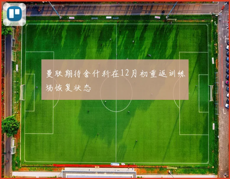 曼联期待舍什科在12月初重返训练场恢复状态