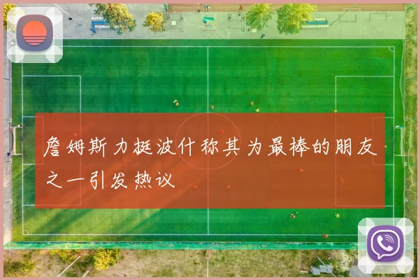 詹姆斯力挺波什称其为最棒的朋友之一引发热议